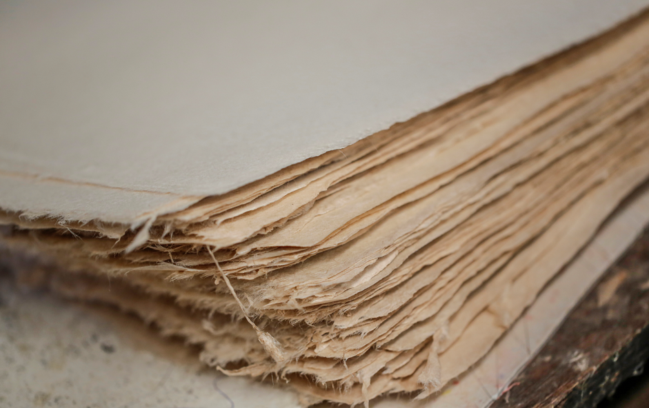 征服全球的造纸巨头，为何败走中国？