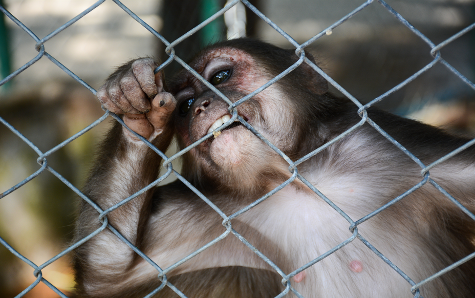图片来源@视觉中国