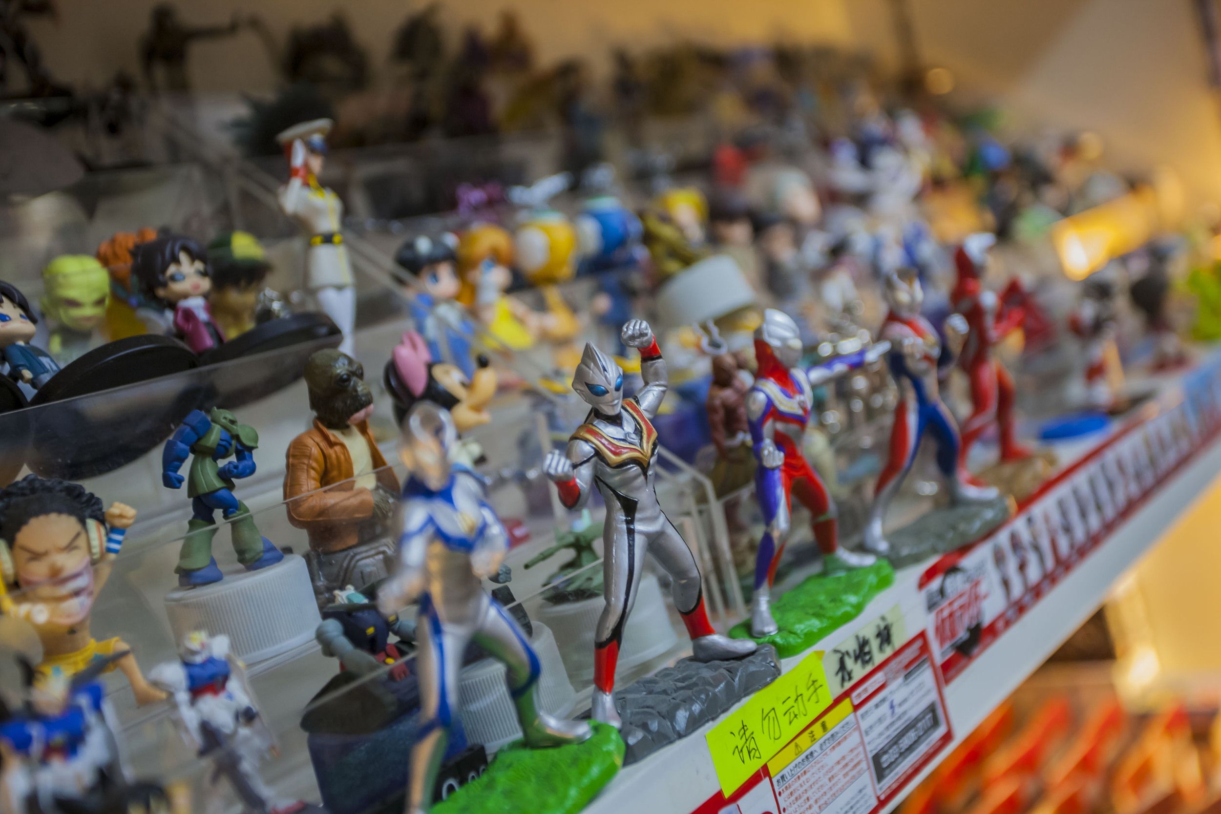 图片来源@视觉中国