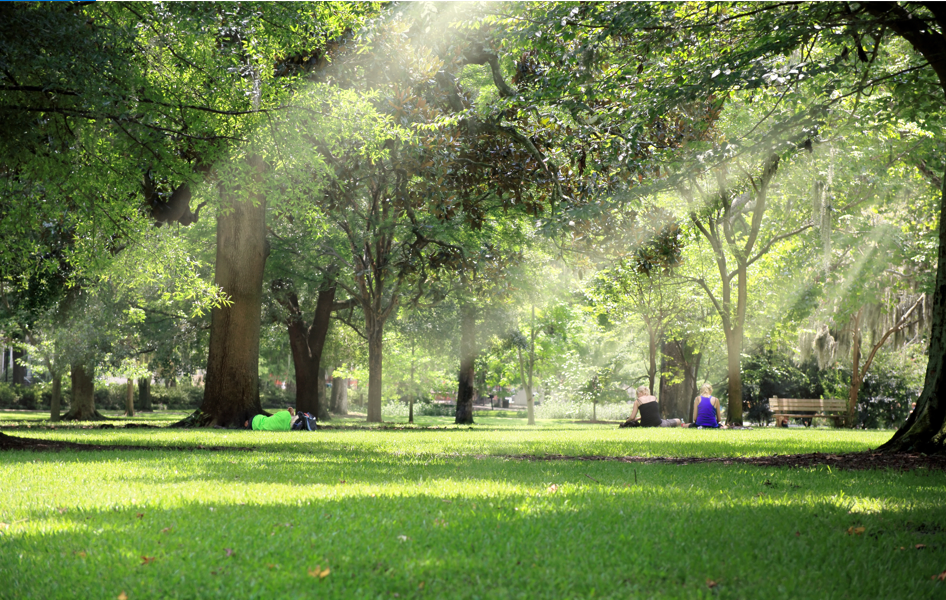 中国公园最多的城市，吊打北上广