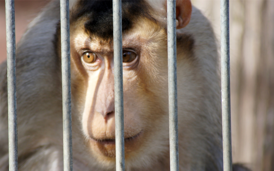 图片来源@视觉中国