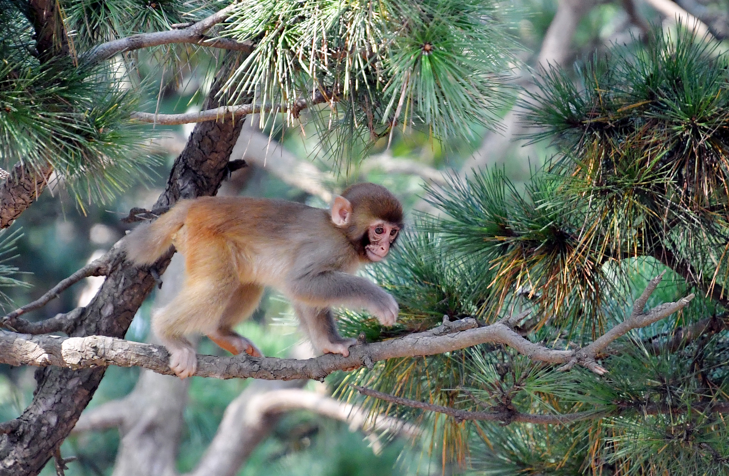 图片来源@视觉中国