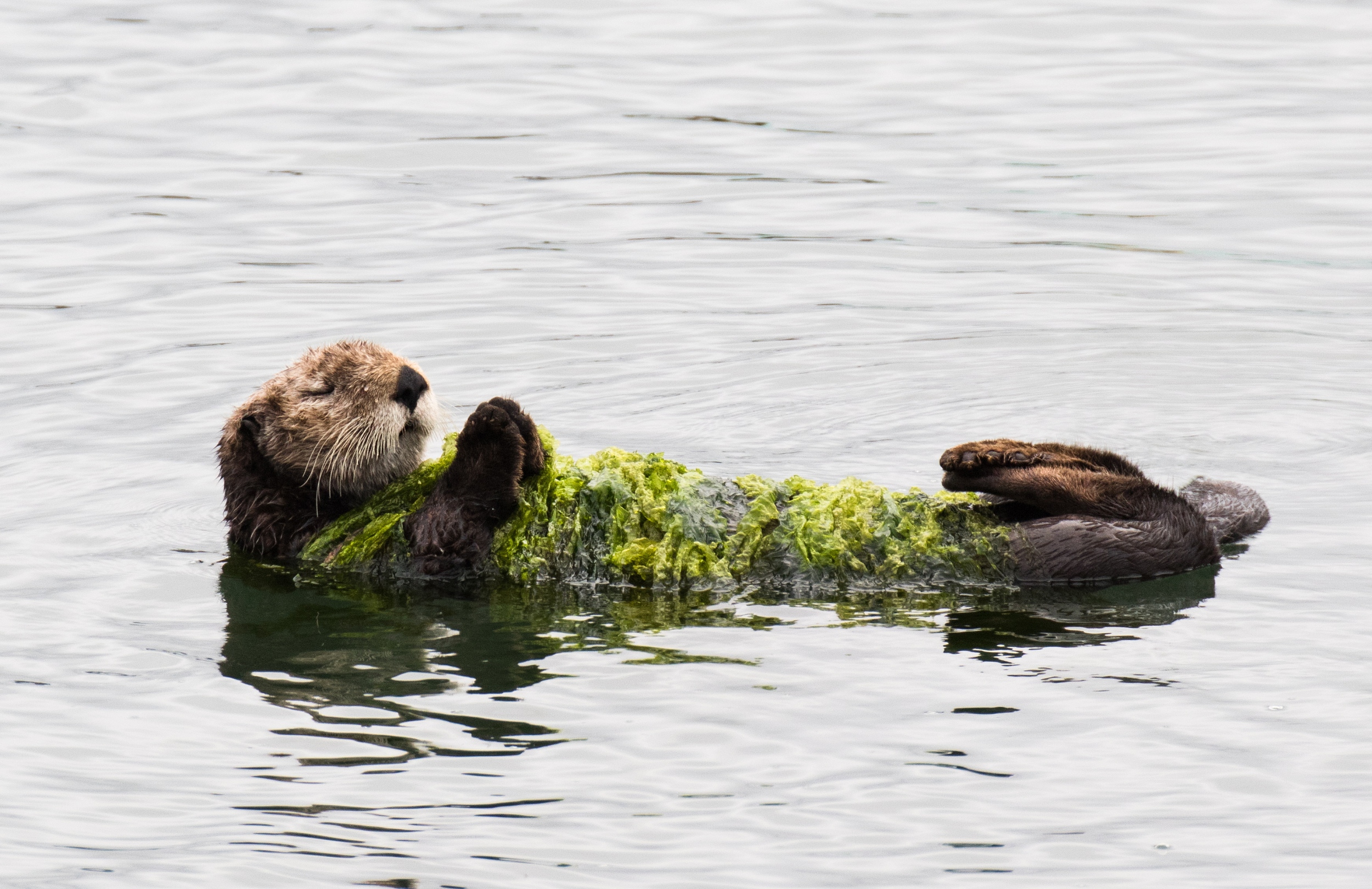 图片来源@视觉中国
