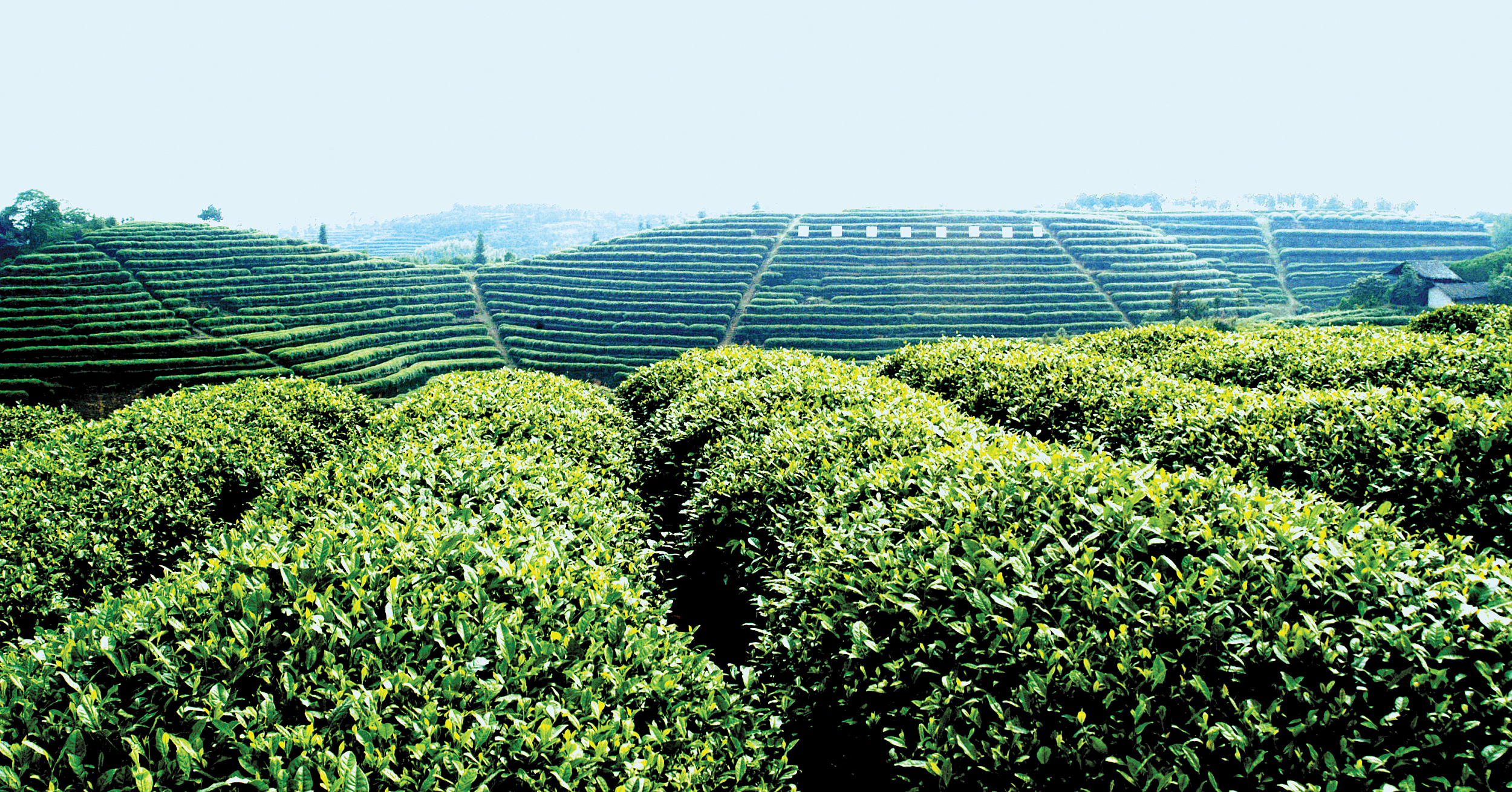 图片来源@视觉中国