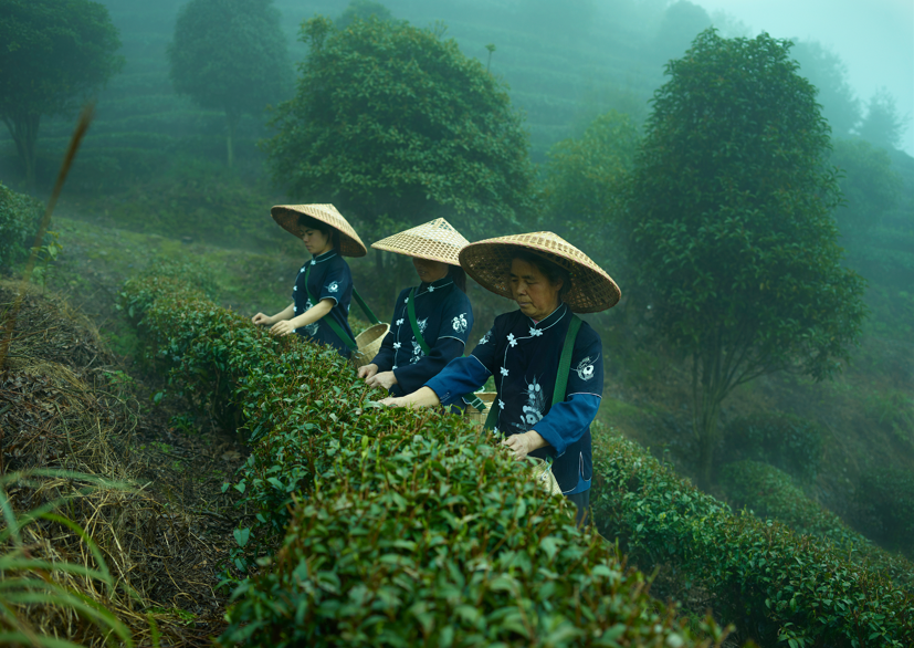 图片来源@视觉中国