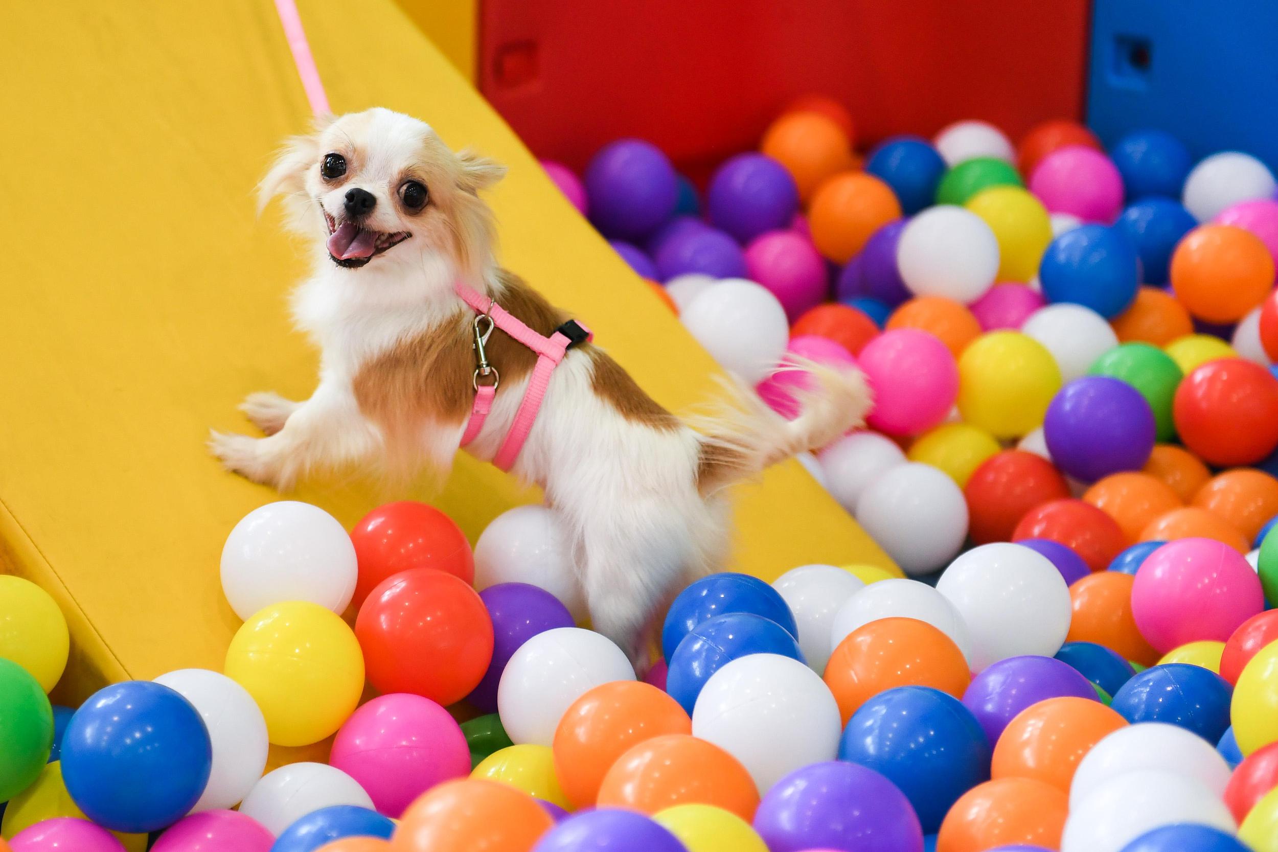 图片来源@视觉中国