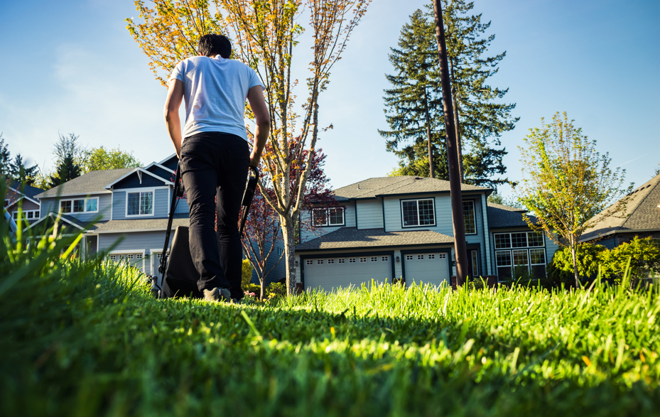 封了57天后，在小区发现了84种草药，43种野菜