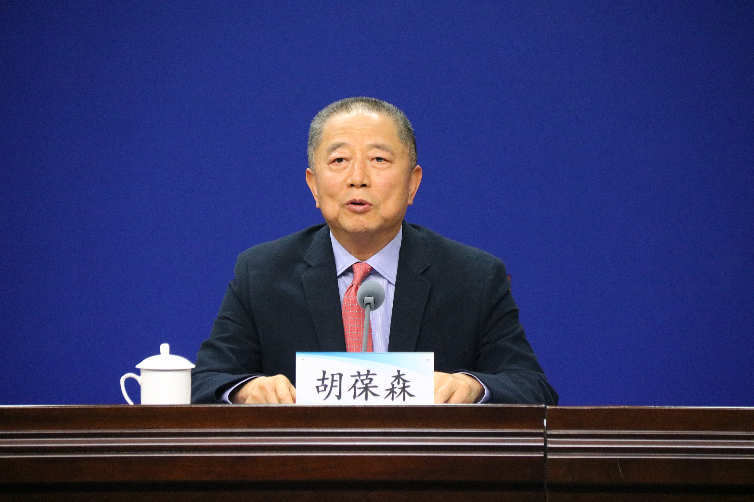 胡葆森融入河南