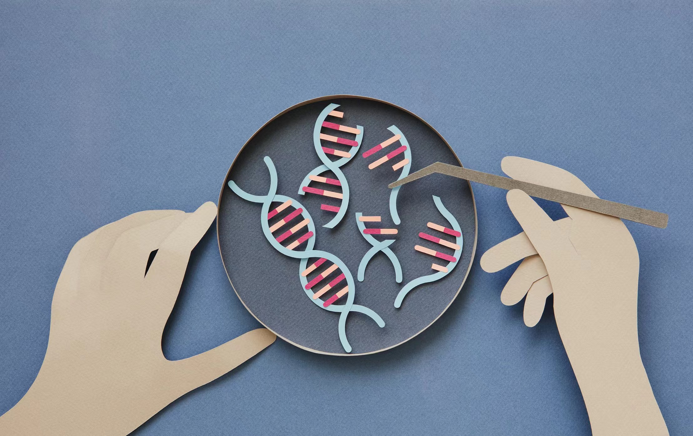 世和基因科创板IPO已问询，“看上去很美”的肿瘤检测“钱景”堪忧丨IPO速递