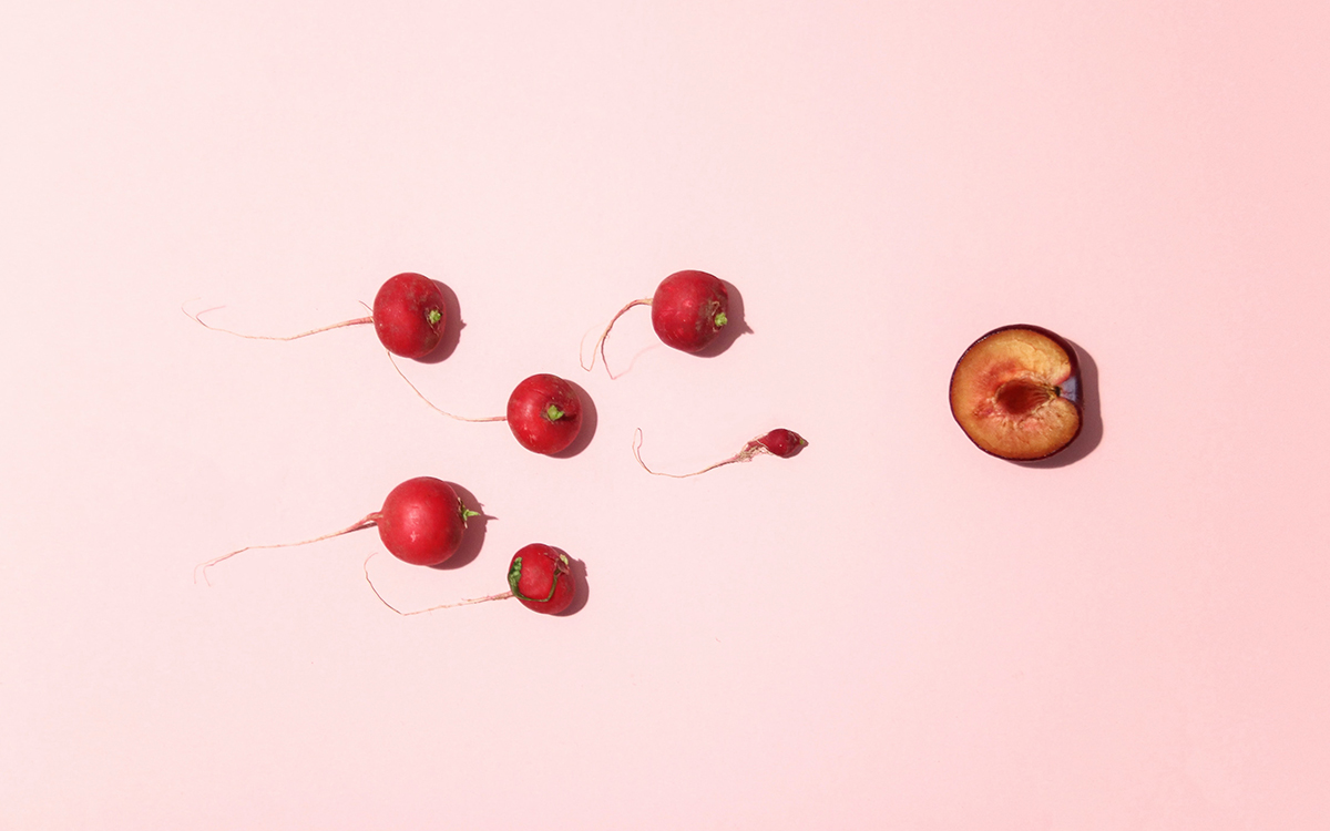 或是诺奖级大突破，中国科学家发现再造个体生命可能 | 钛媒体科普