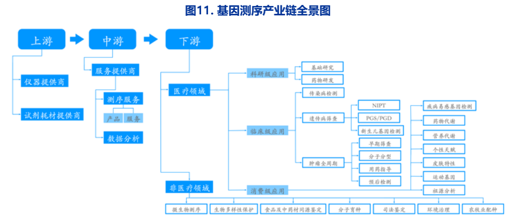 2021基因行业蓝皮书，申万宏源研究