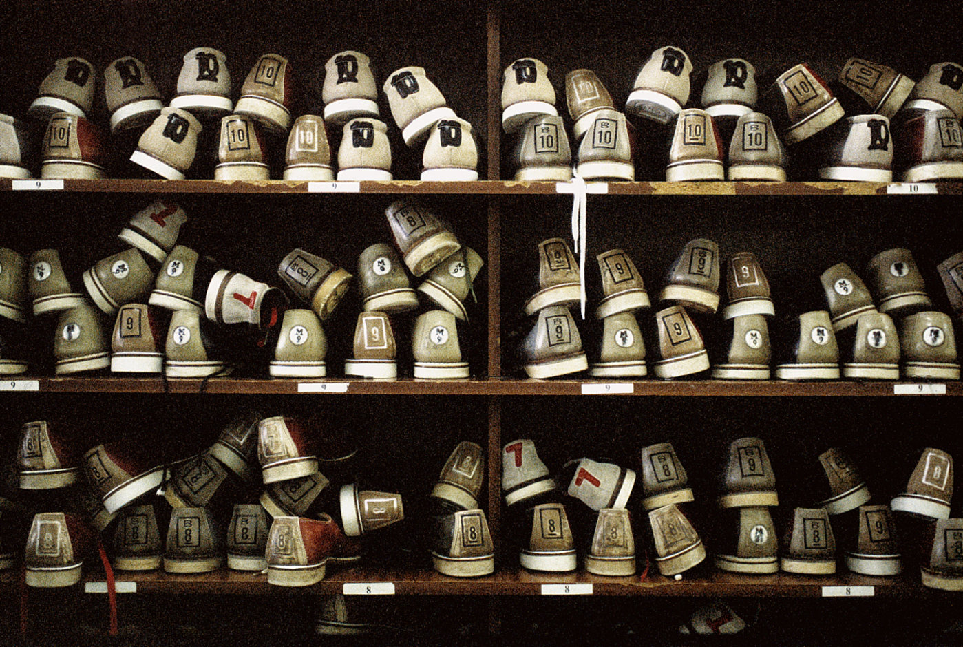 图片来源@视觉中国