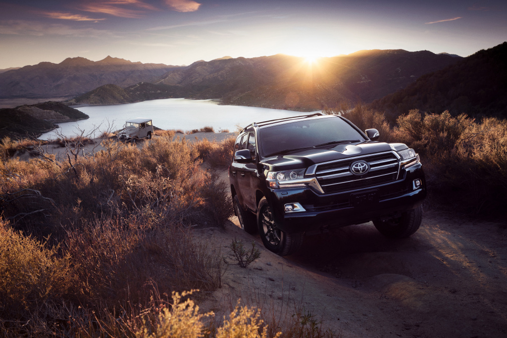 图片来源@视觉中国