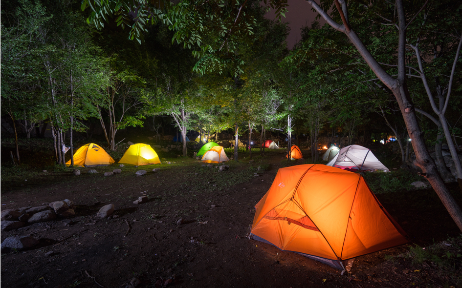 图片来源@视觉中国