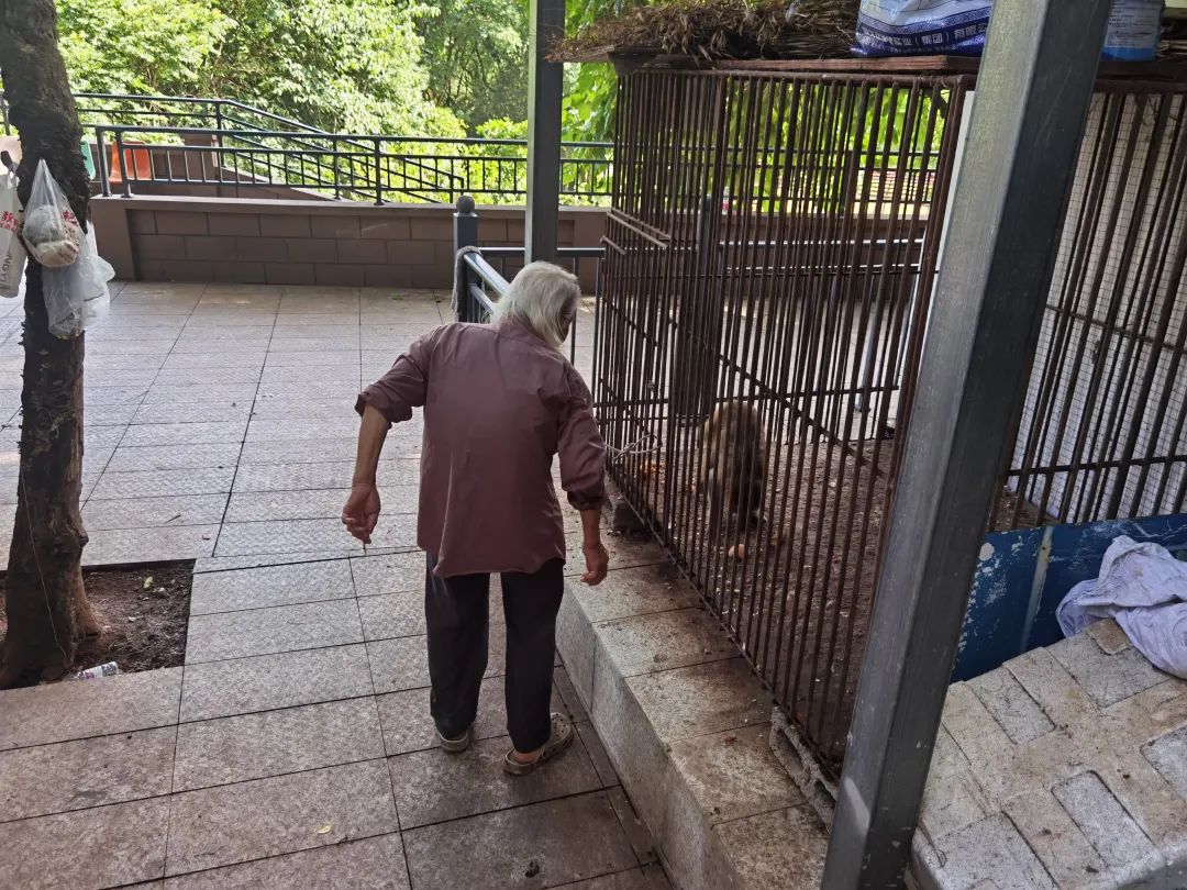 82岁老人和他“最孤独的动物园”