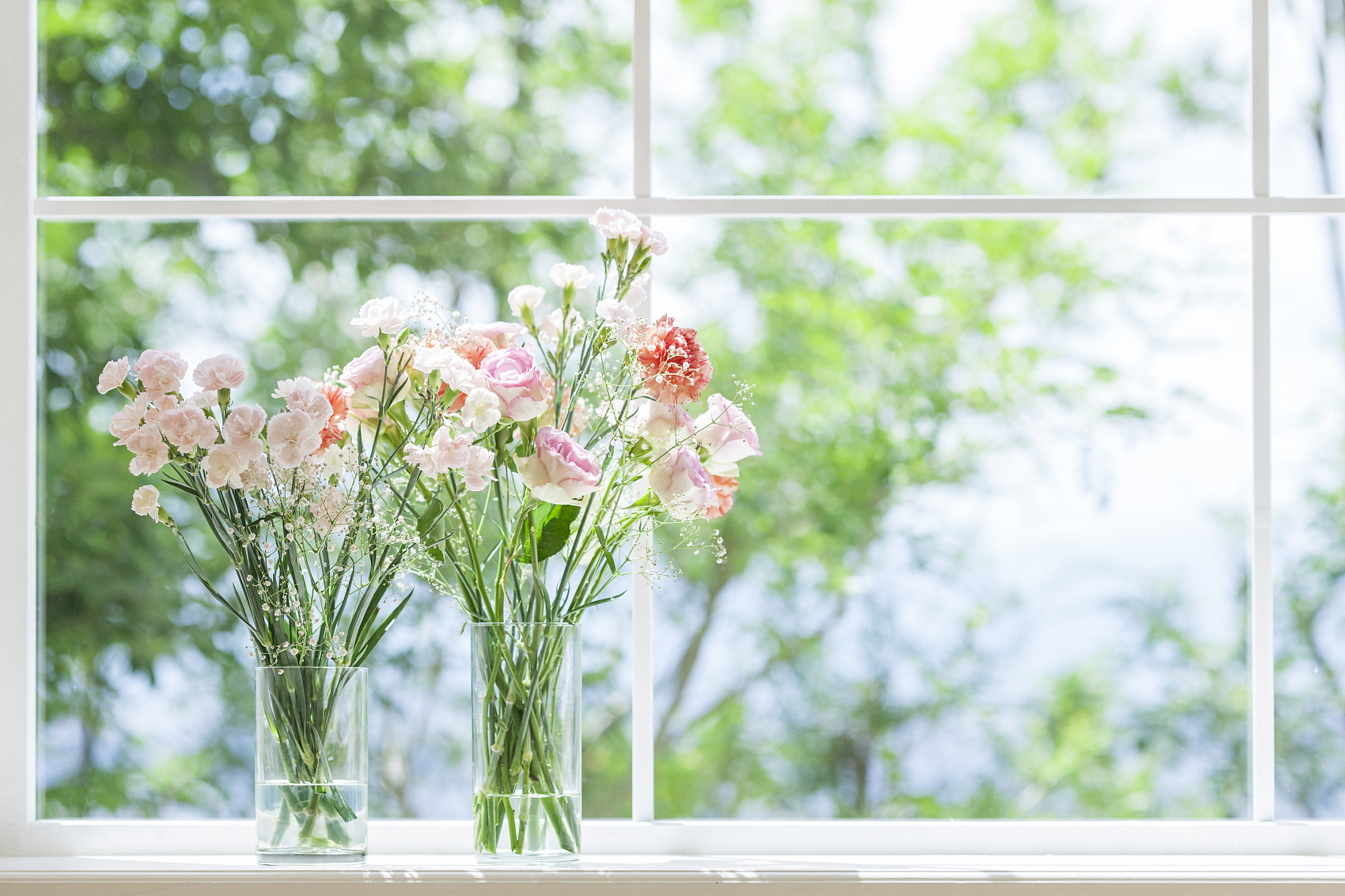 图片来源@视觉中国