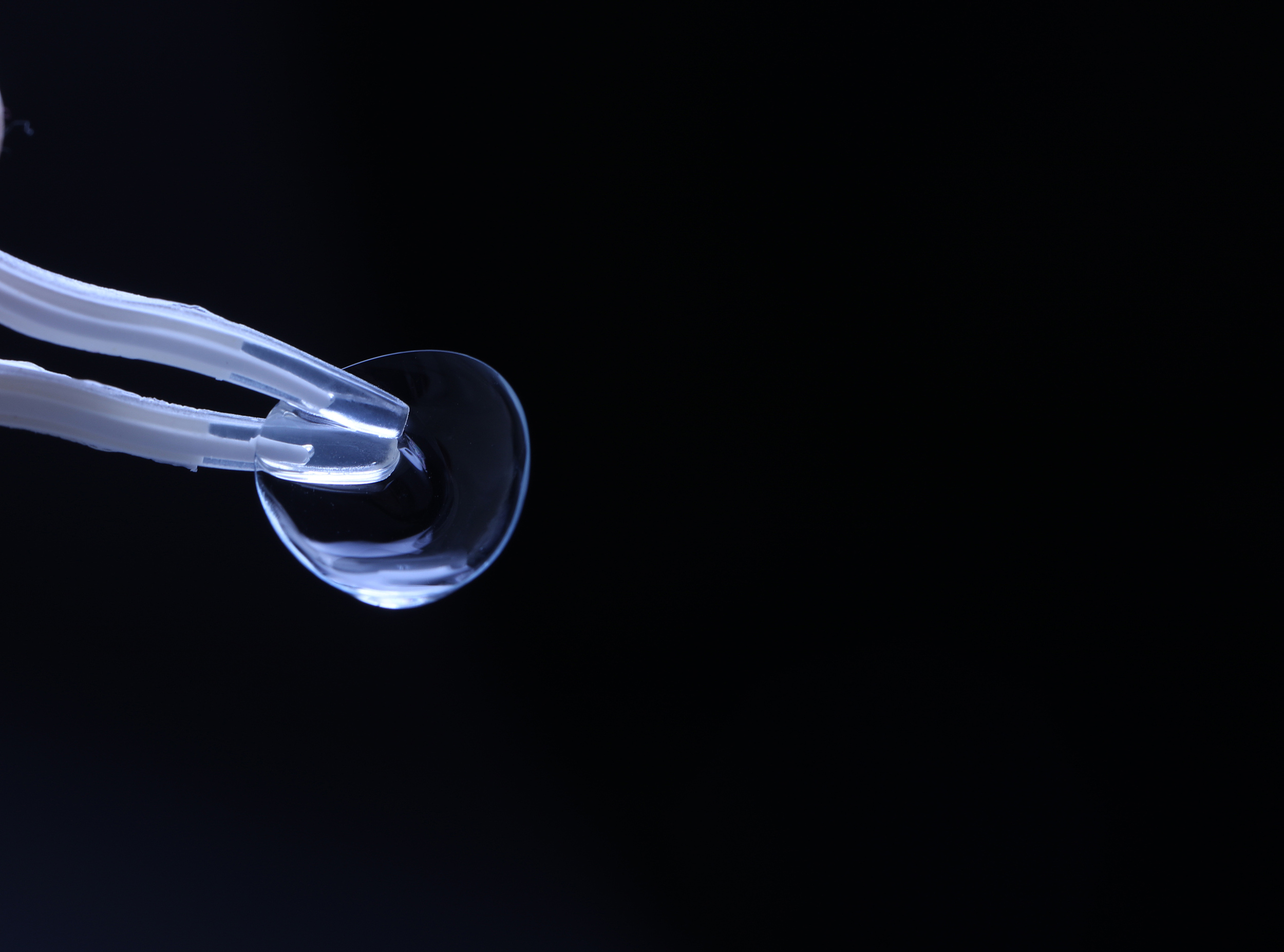 图片来源@视觉中国