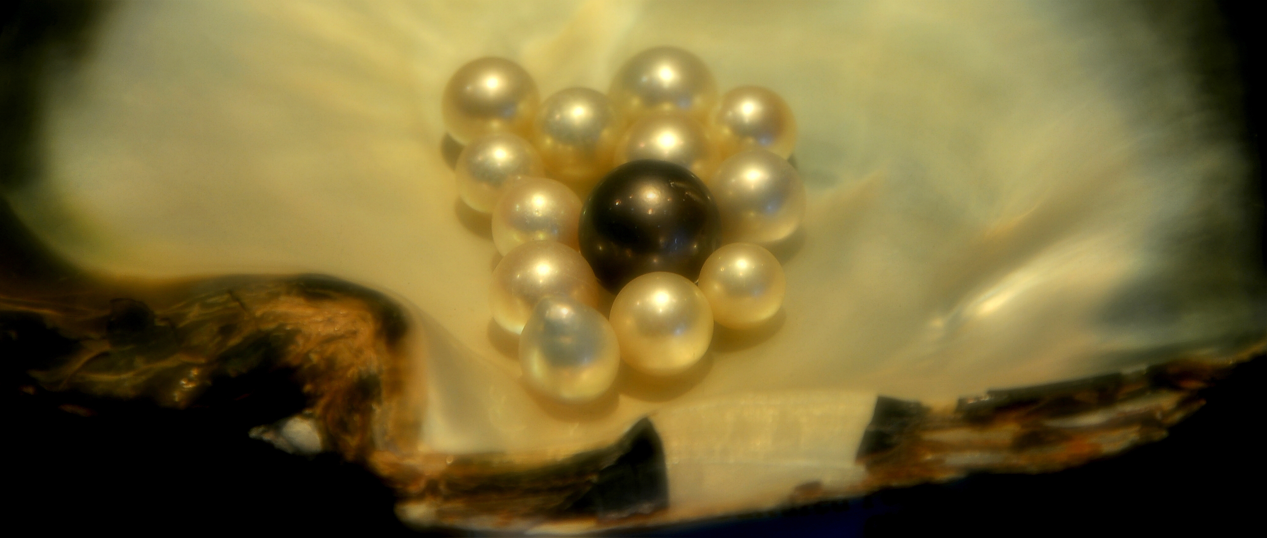 图片来源@视觉中国