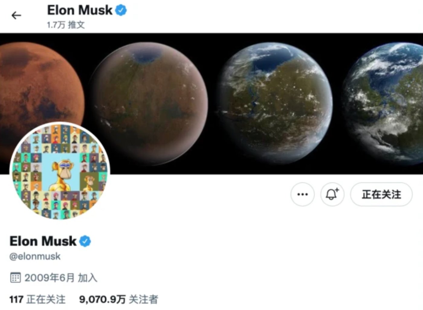 Musk&rsquo;s Bored Ape profile picture