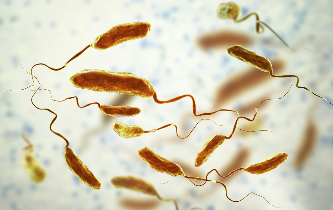 武大发现霍乱病例，虽不会大规模流行，但仍有这些隐患