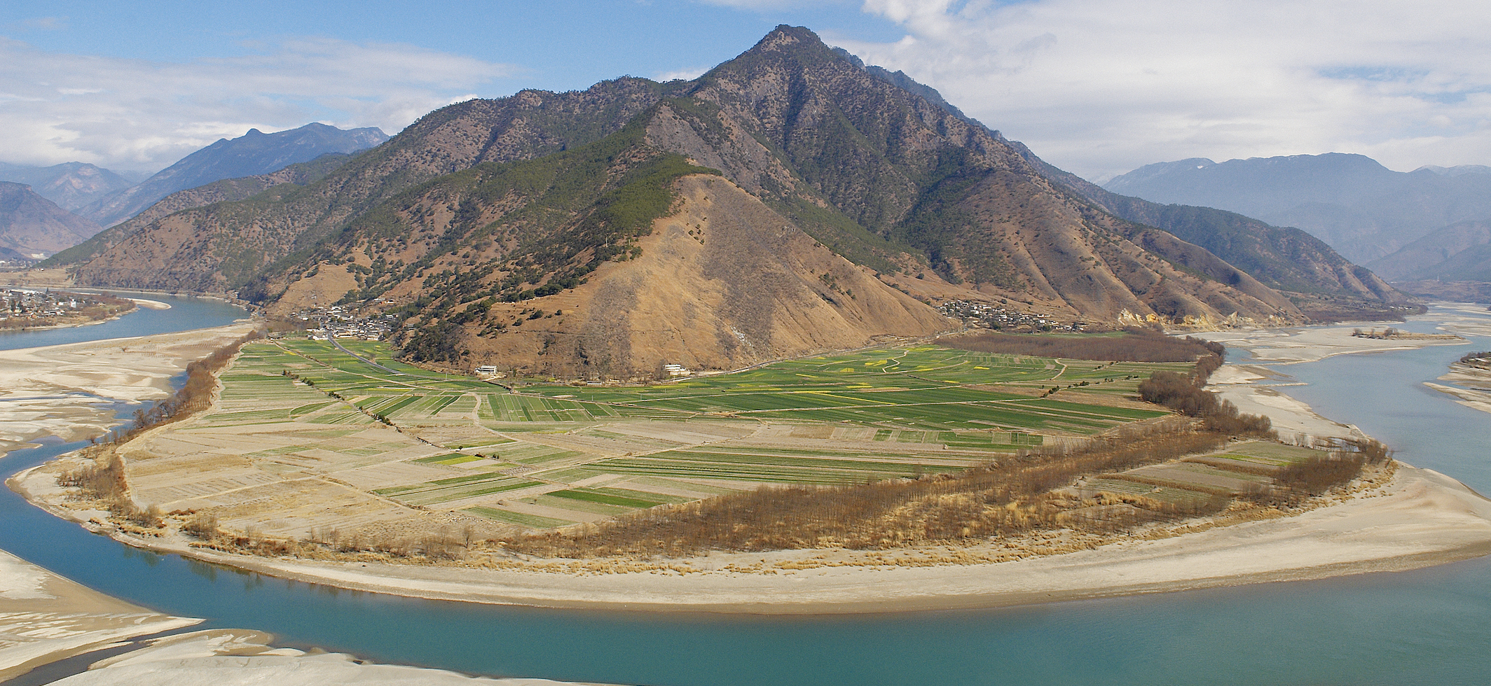 关于白鲟灭绝，鲜为人知的几个细节