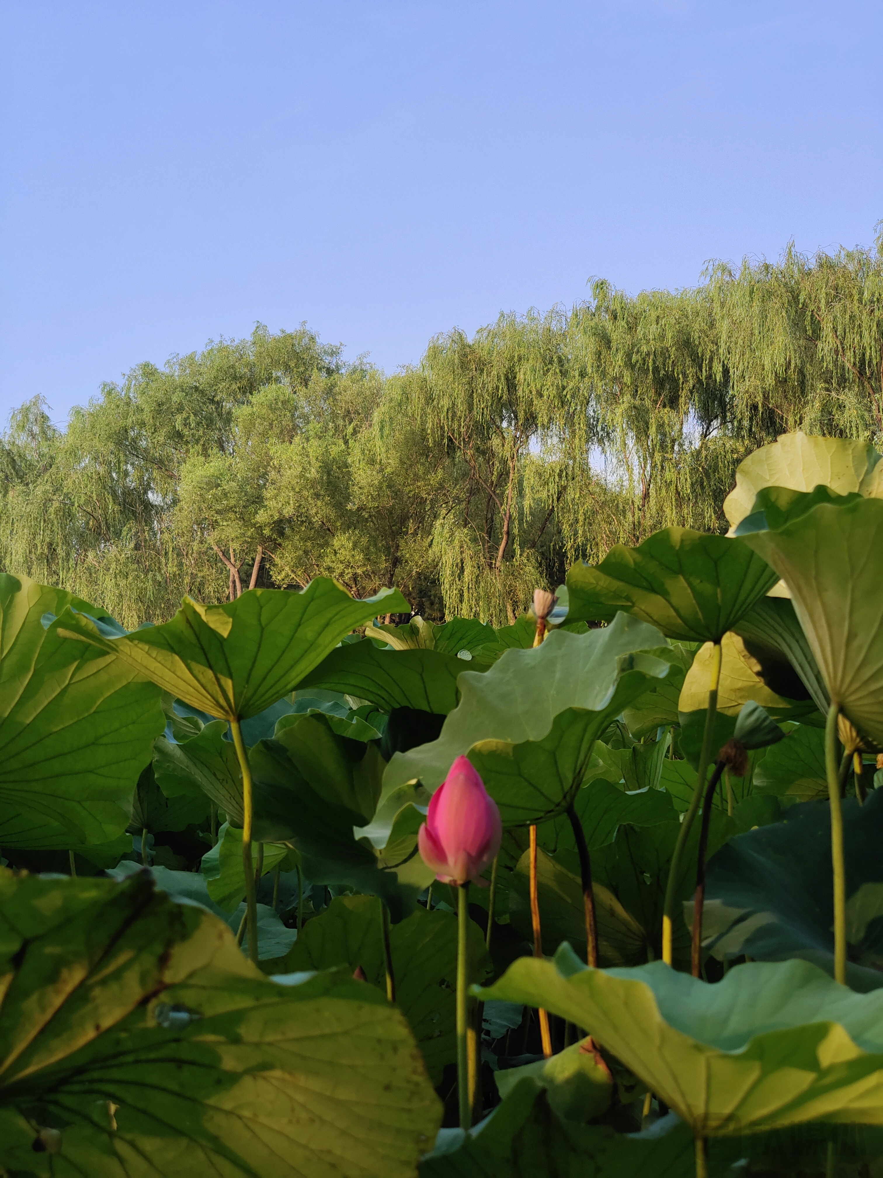 两部门印发《关于金融支持文化和旅游行业恢复发展的通知》