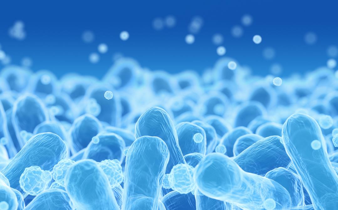 饶毅炮轰华大基因 CEO 尹烨，益生菌是不是一场大骗局？