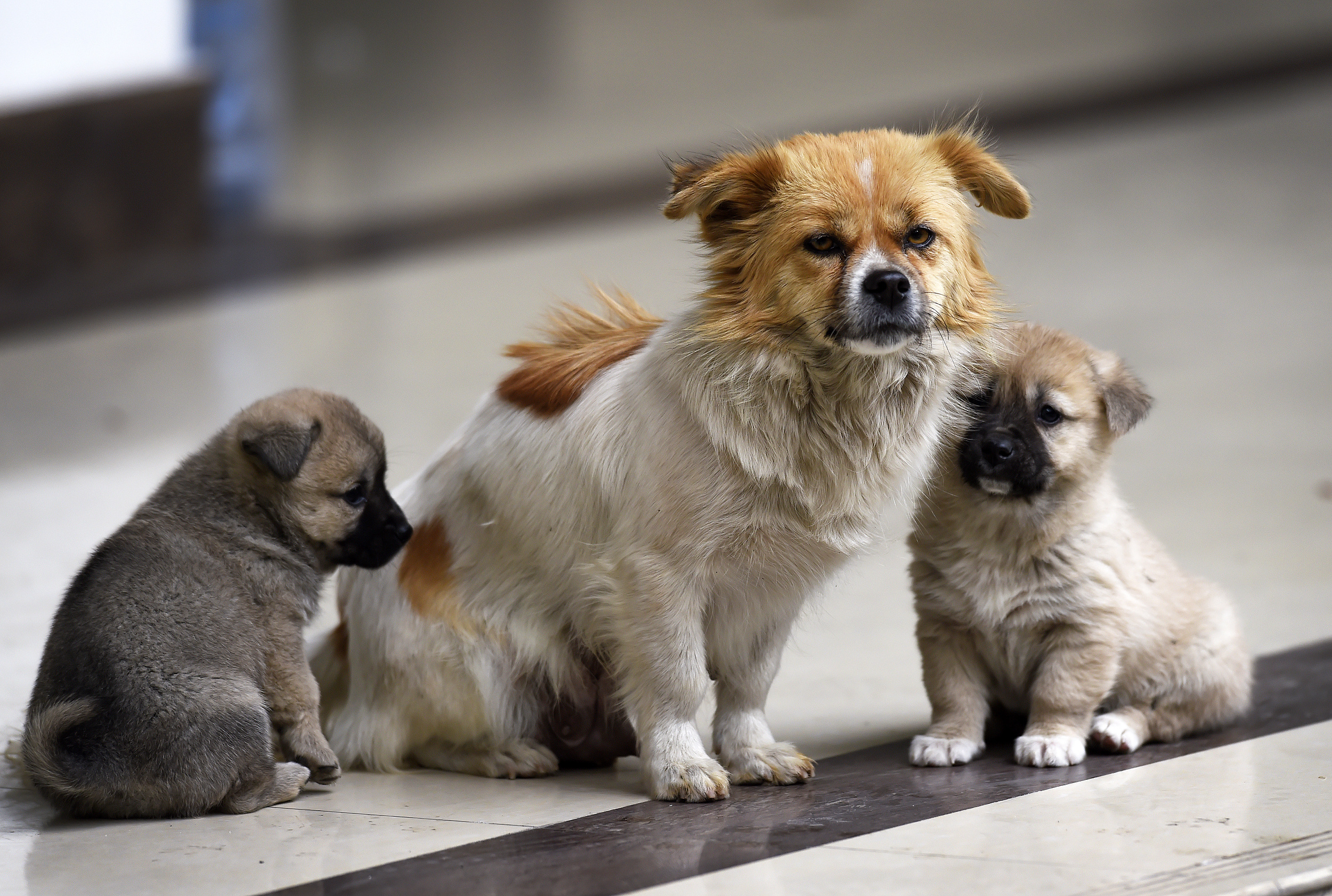图片来源@视觉中国