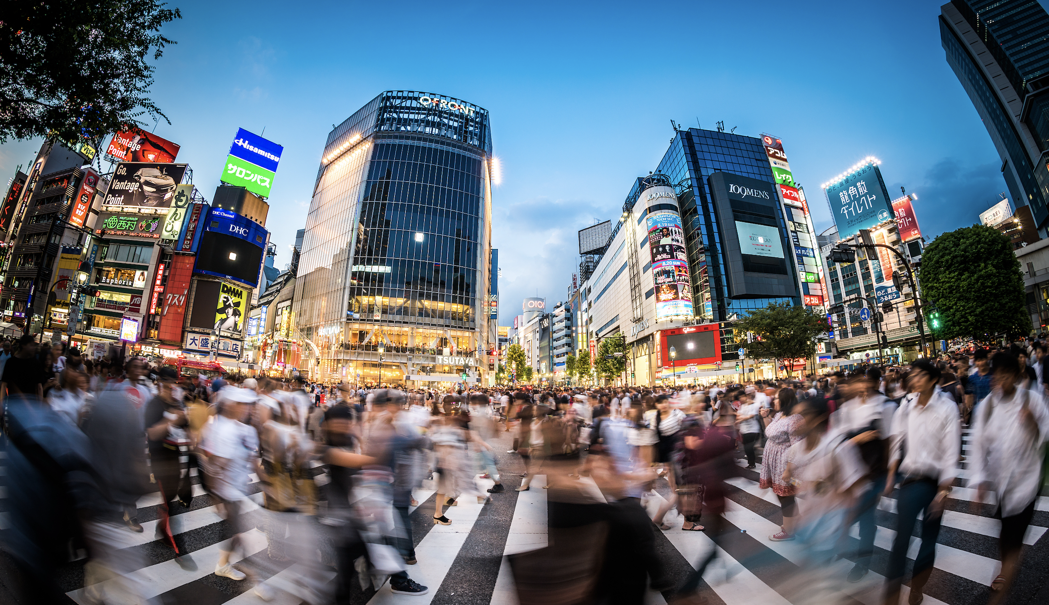 图片来源@视觉中国