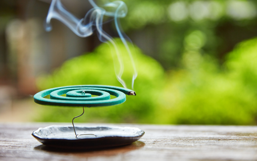 图片来源@视觉中国