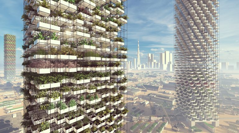 城市农夫，远离抢菜