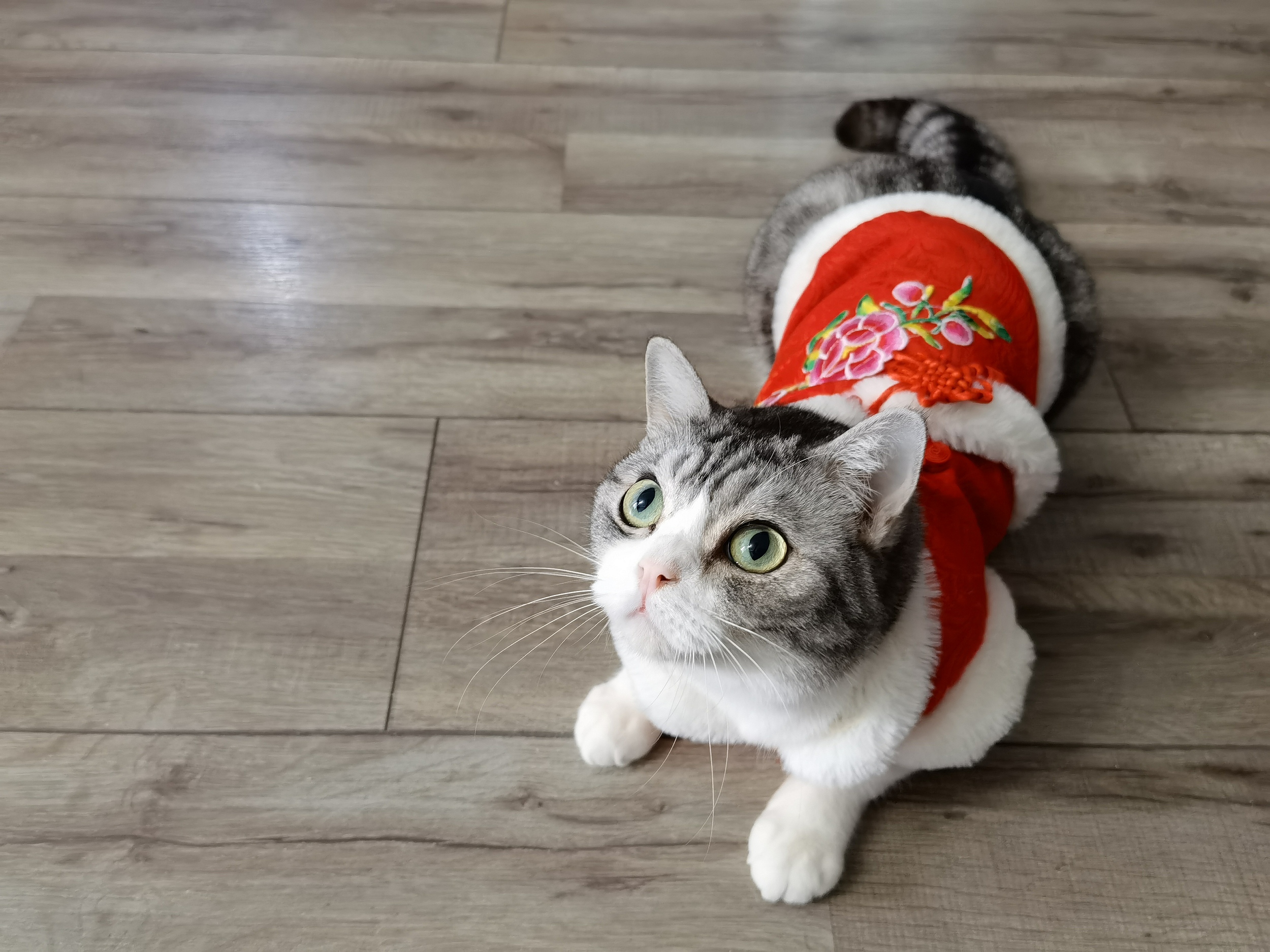 图片来源@视觉中国