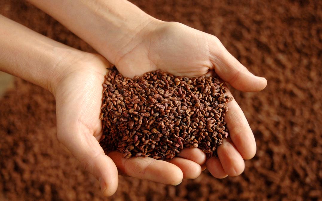 图片来源@视觉中国