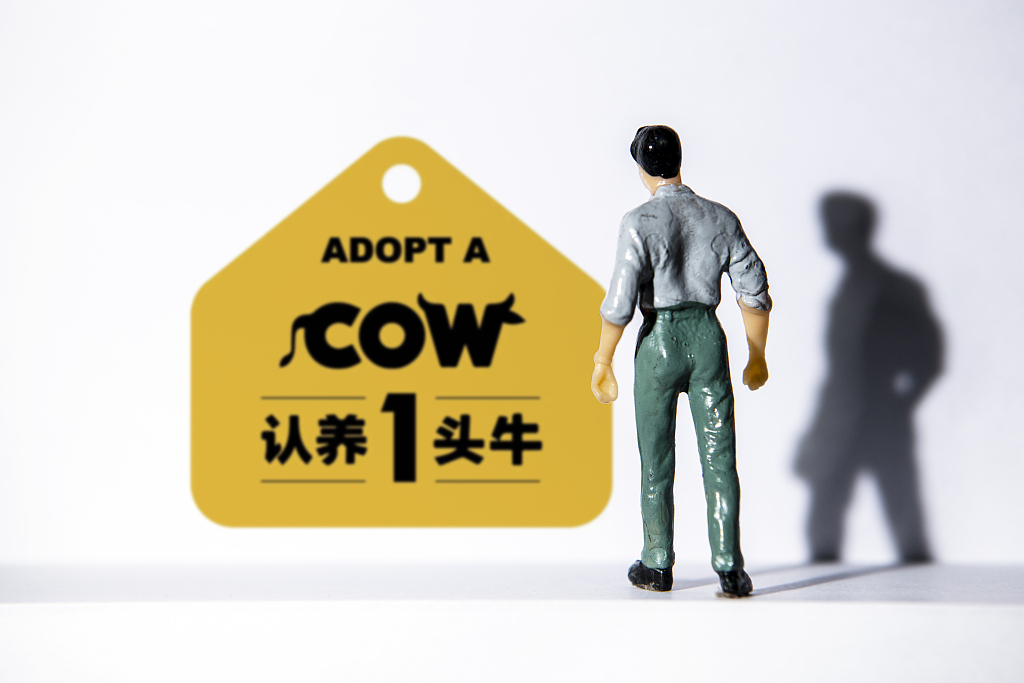 图片来源@视觉中国