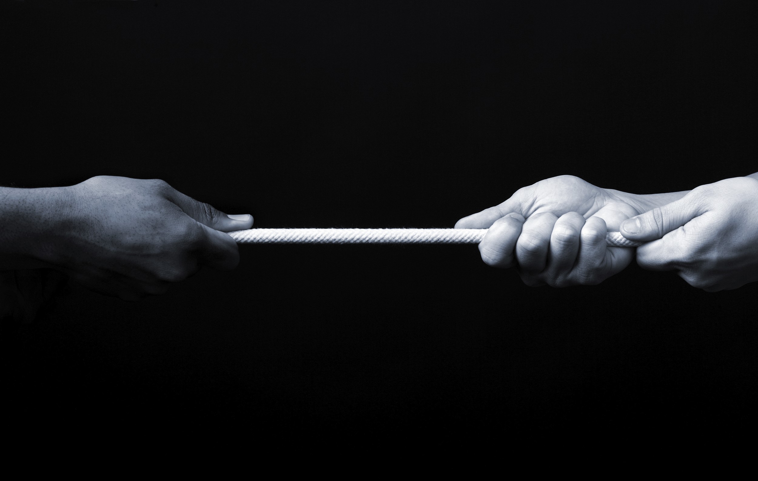 图片来源@视觉中国