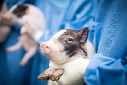 图片来源@视觉中国