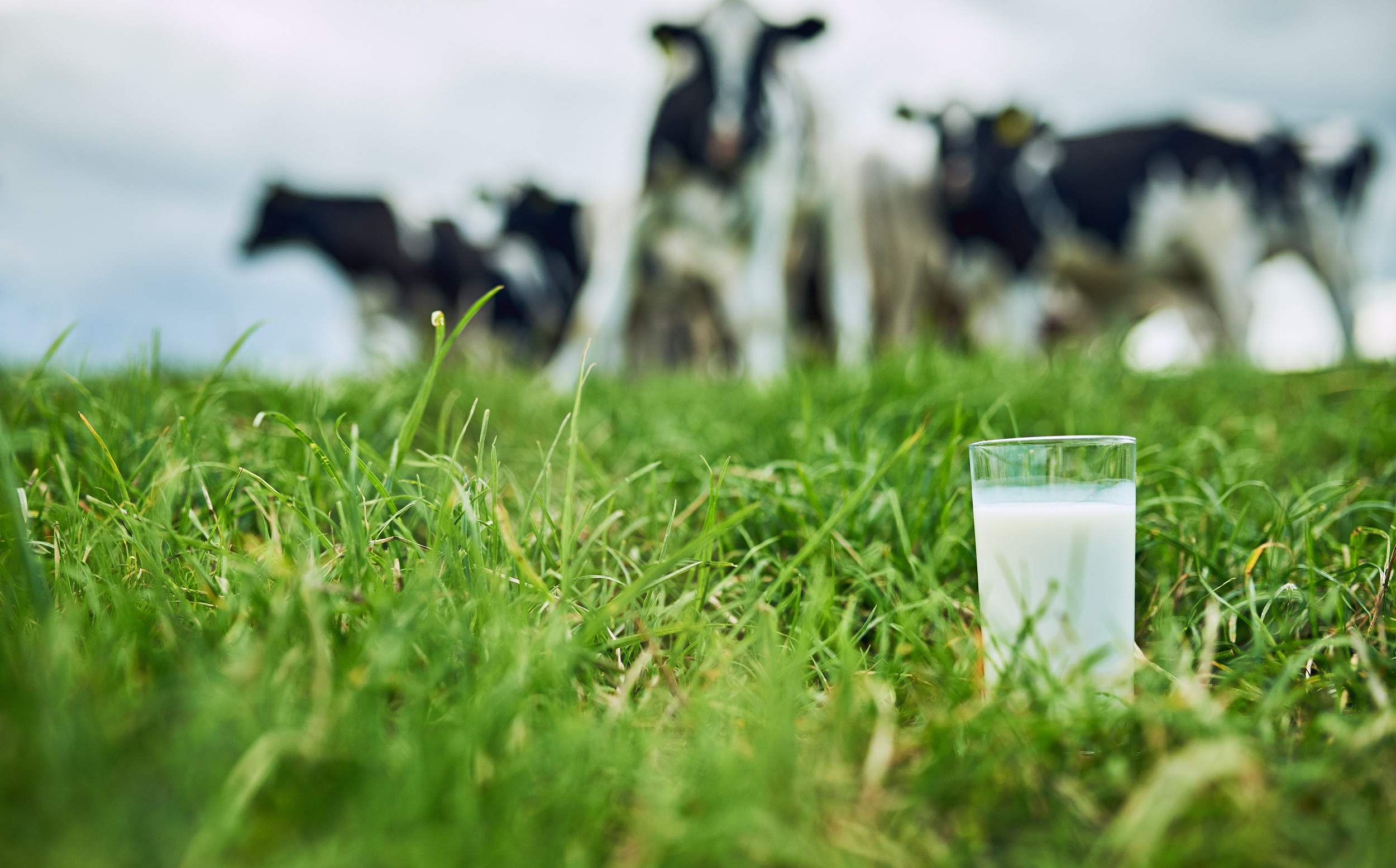 图片来源@视觉中国