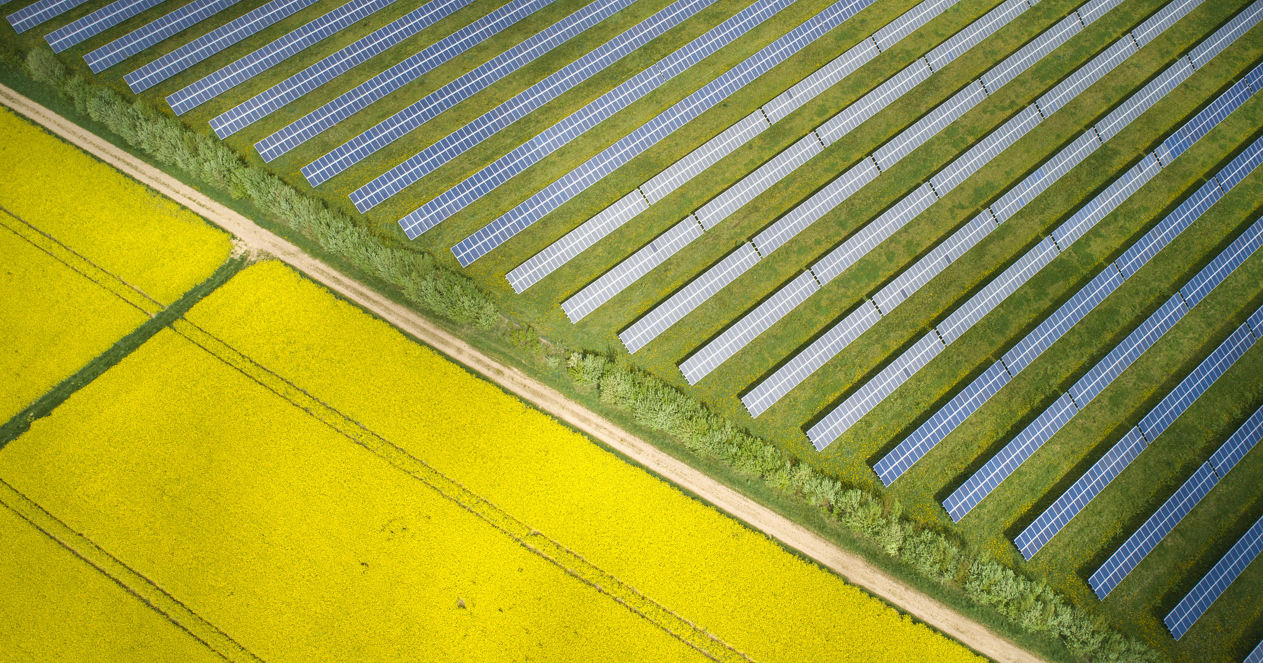 沾“光”必涨，农企龙头为何都爱跨界做光伏？