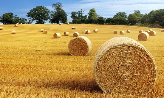 图片来源@视觉中国