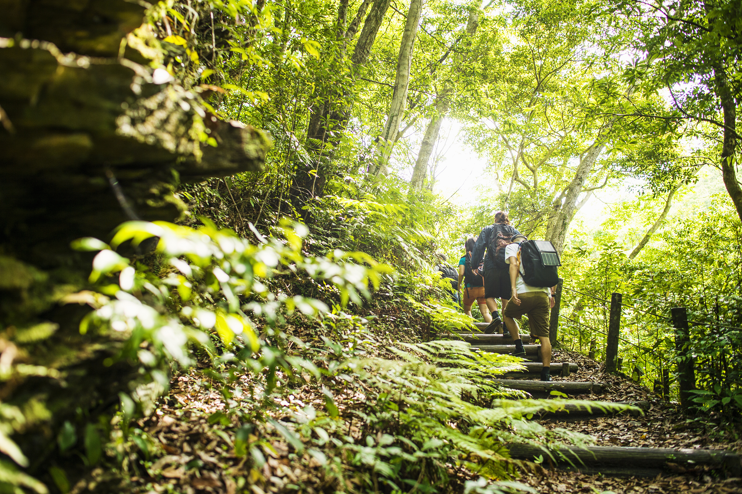 图片来源@视觉中国
