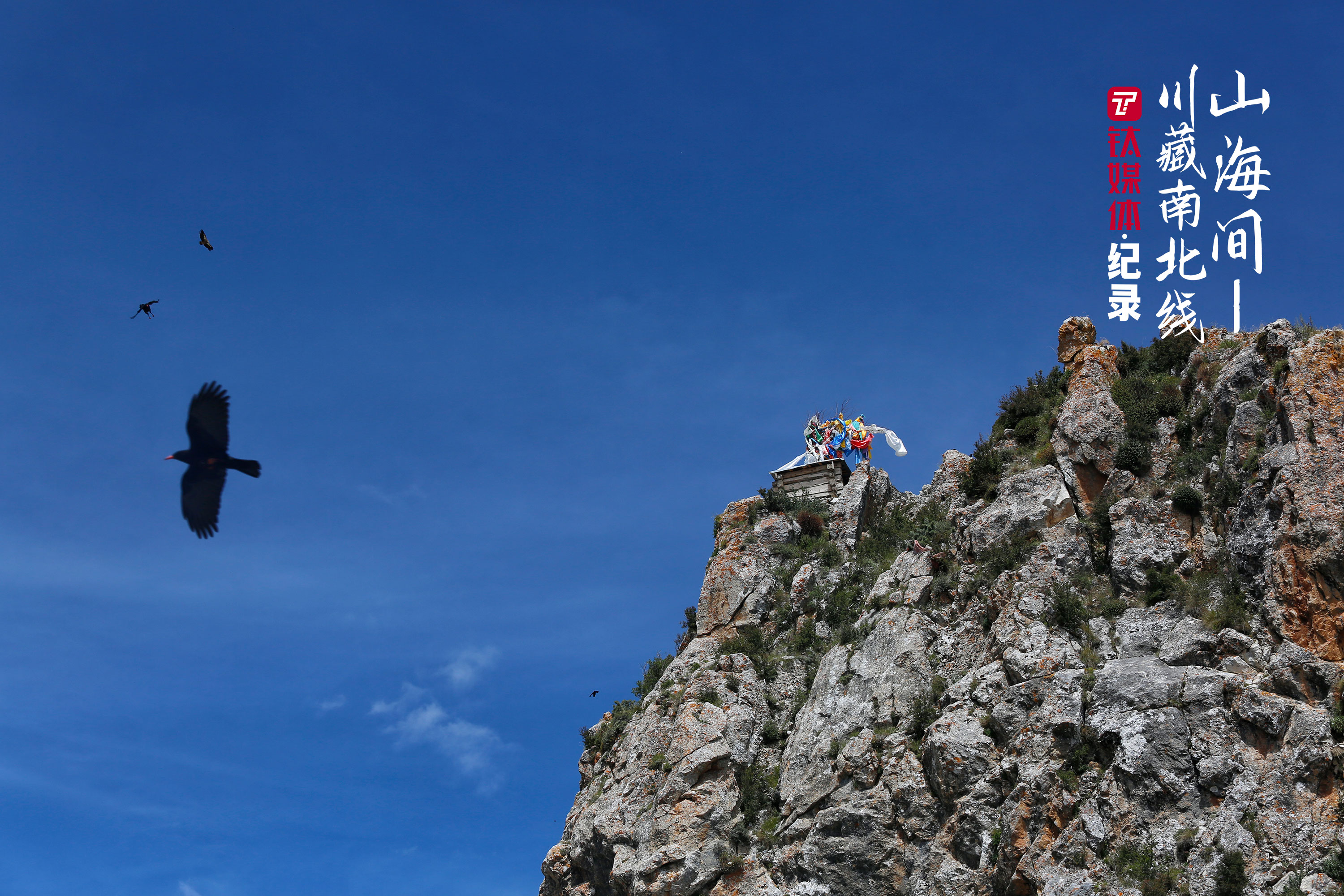 乌鸦和老鹰掠过孜珠山顶。
