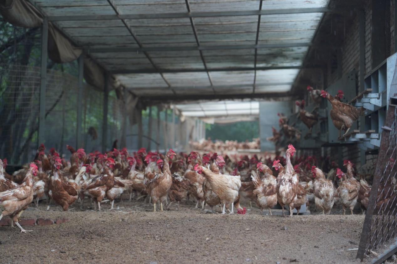 钛媒体作者柳大方摄影
