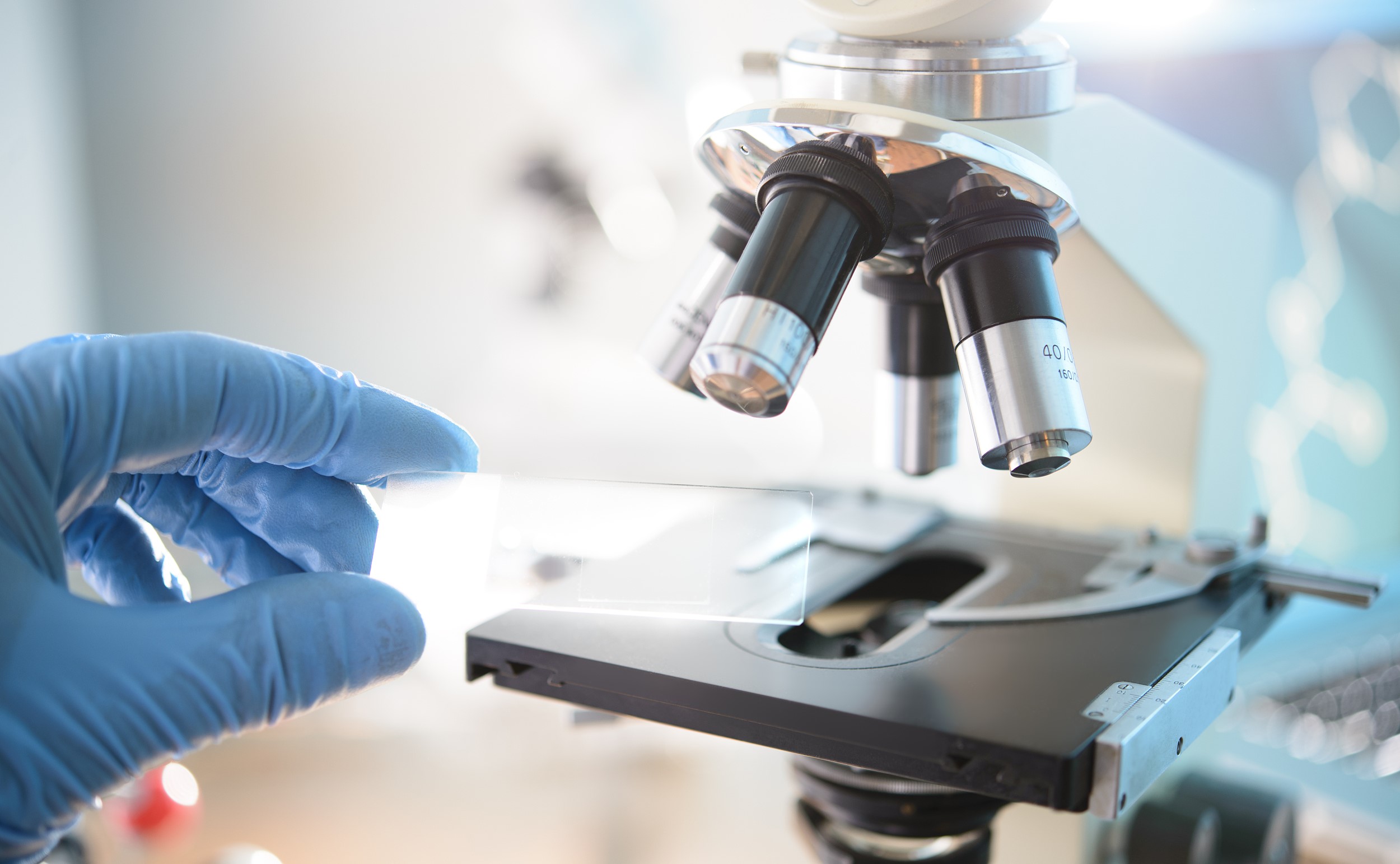 图片来源@视觉中国