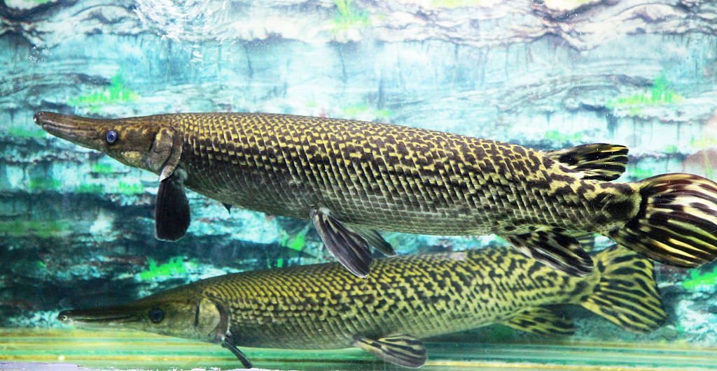 图片来源@视觉中国