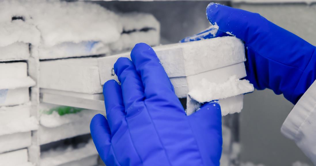 图片来源@视觉中国