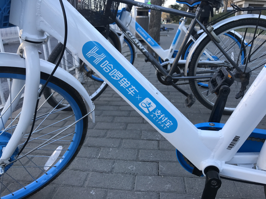 图片来源@视觉中国