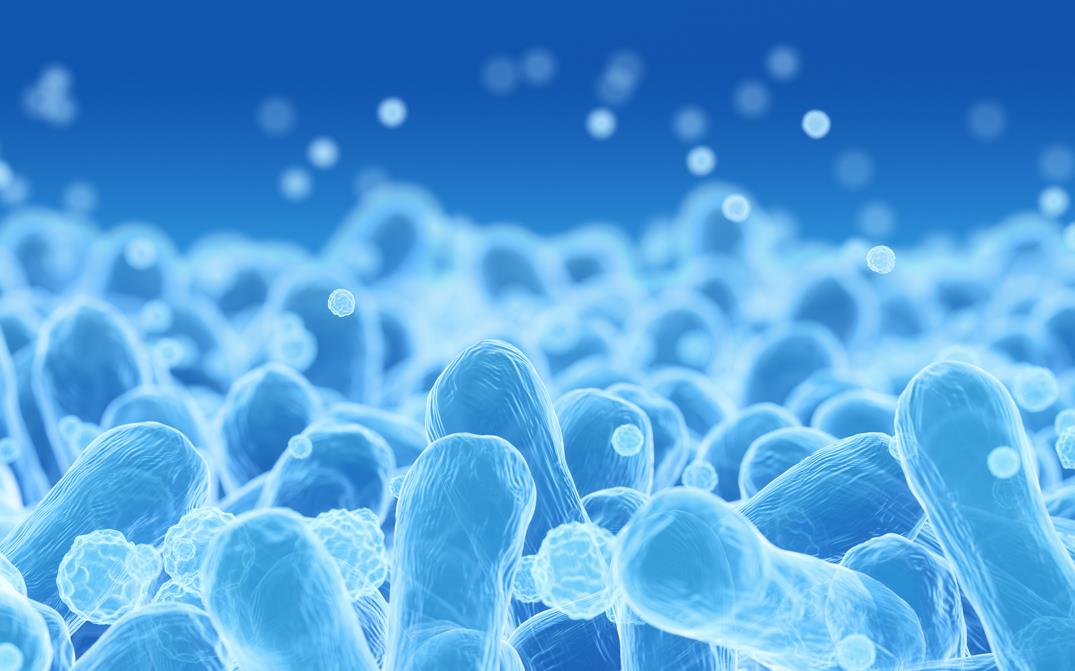 图片来源@视觉中国