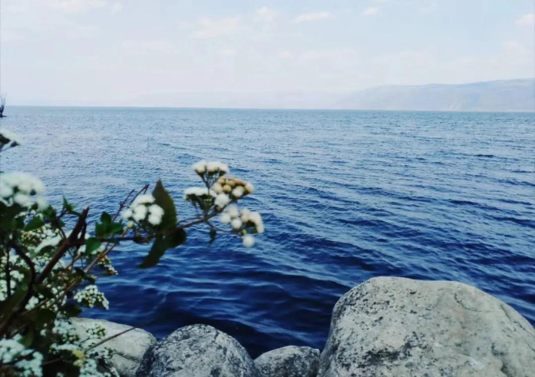 图片来源@视觉中国