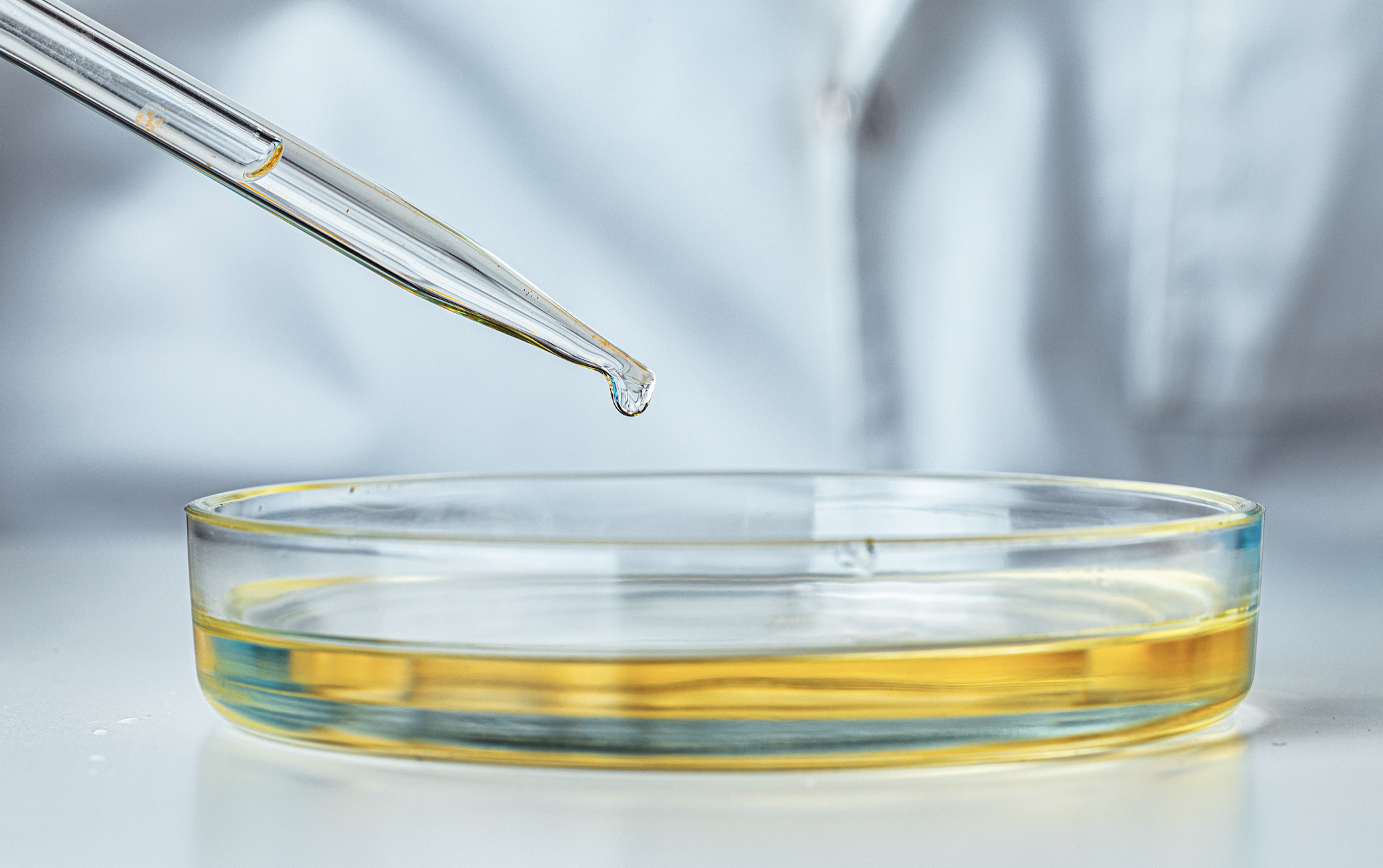 利润6000万、市值100亿，永不消失的国产替代风口