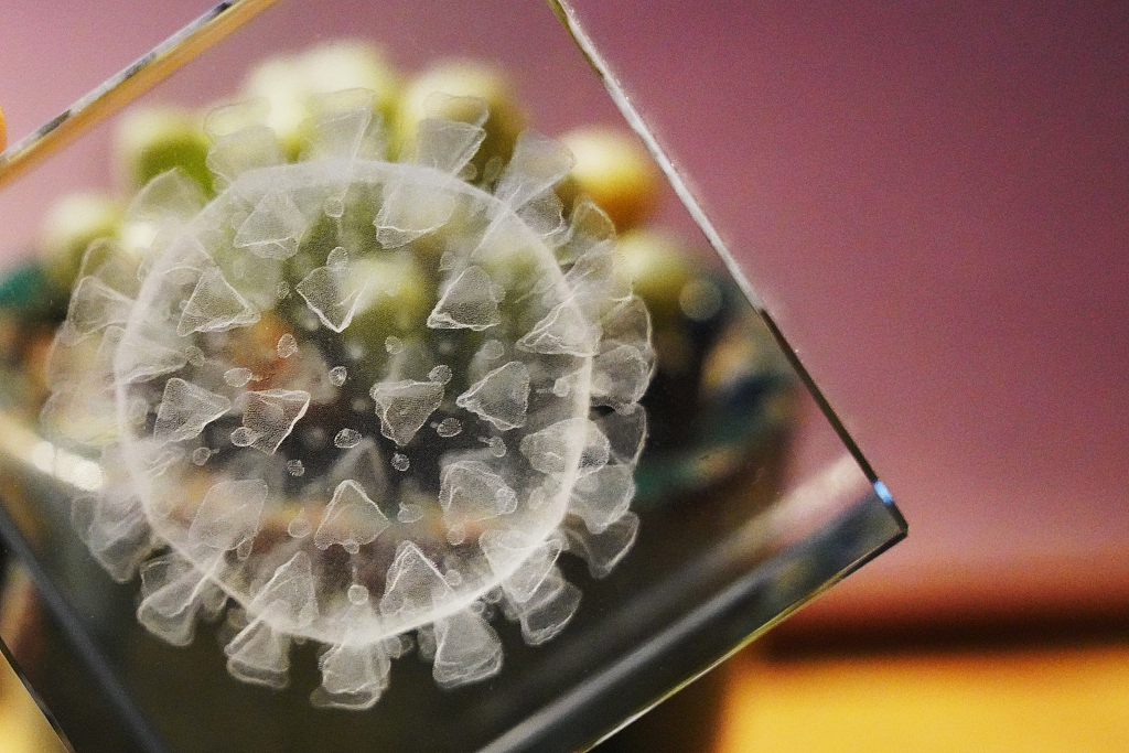 推动人类文明的演化，病毒都做了什么？